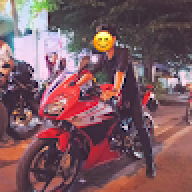 hoa vo khuyet
