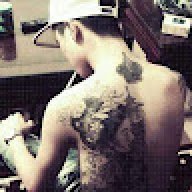 Vippro009
